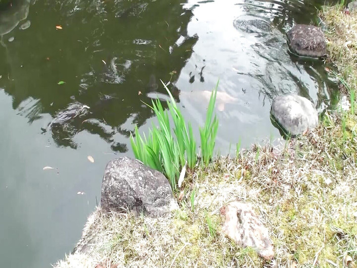 MBM3988: M607g05 Assaut sur une femme mature de 56 ans vivant dans...