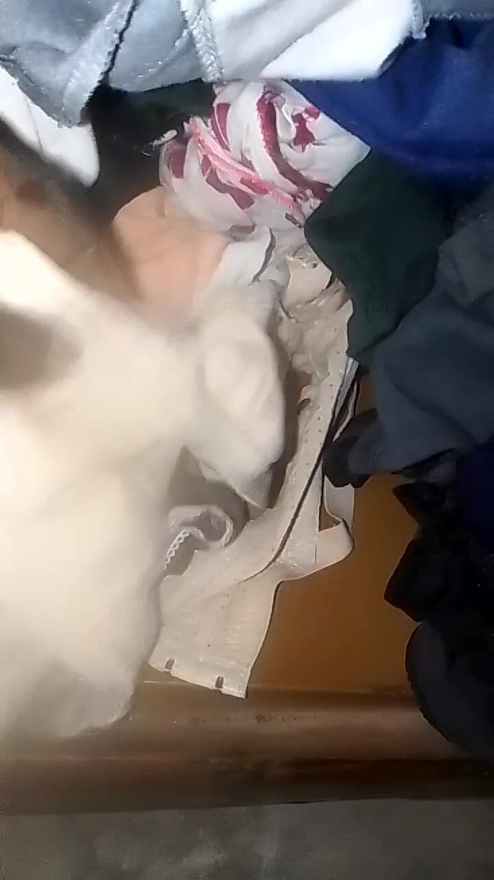 Jaanu294: Le mutandine della mia sorellastra