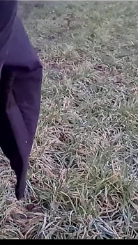 German Blonde PAWG Teen Lisa Get Risky Outdoor Fuck at First Date