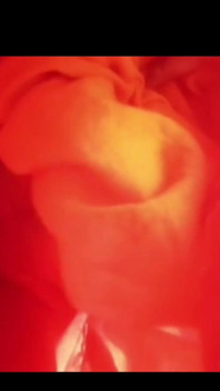 Green Garden Full Sex Video Hasinabegum1234