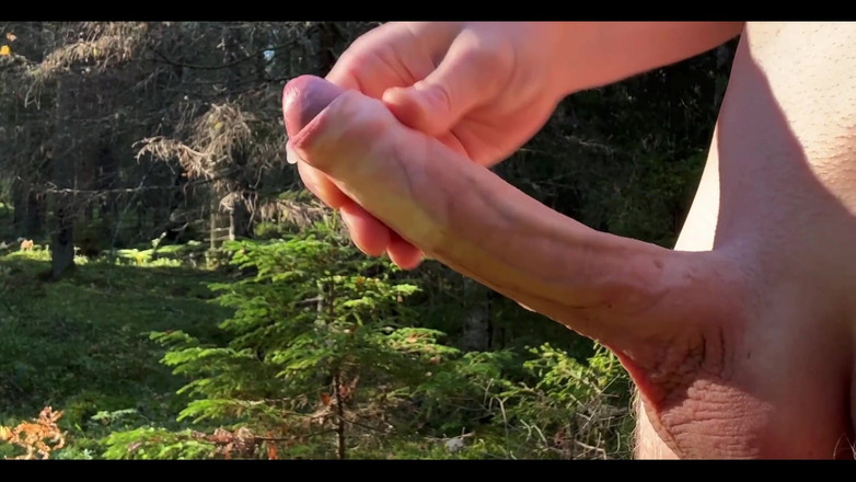 JohannWood: 4perfect schnell im wald, genau das, was ich brauchte