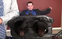 Princess Nikki's Gay Tickle and Handjob Club: Un mec américain sexy se fait chatouiller au paradis - domination...