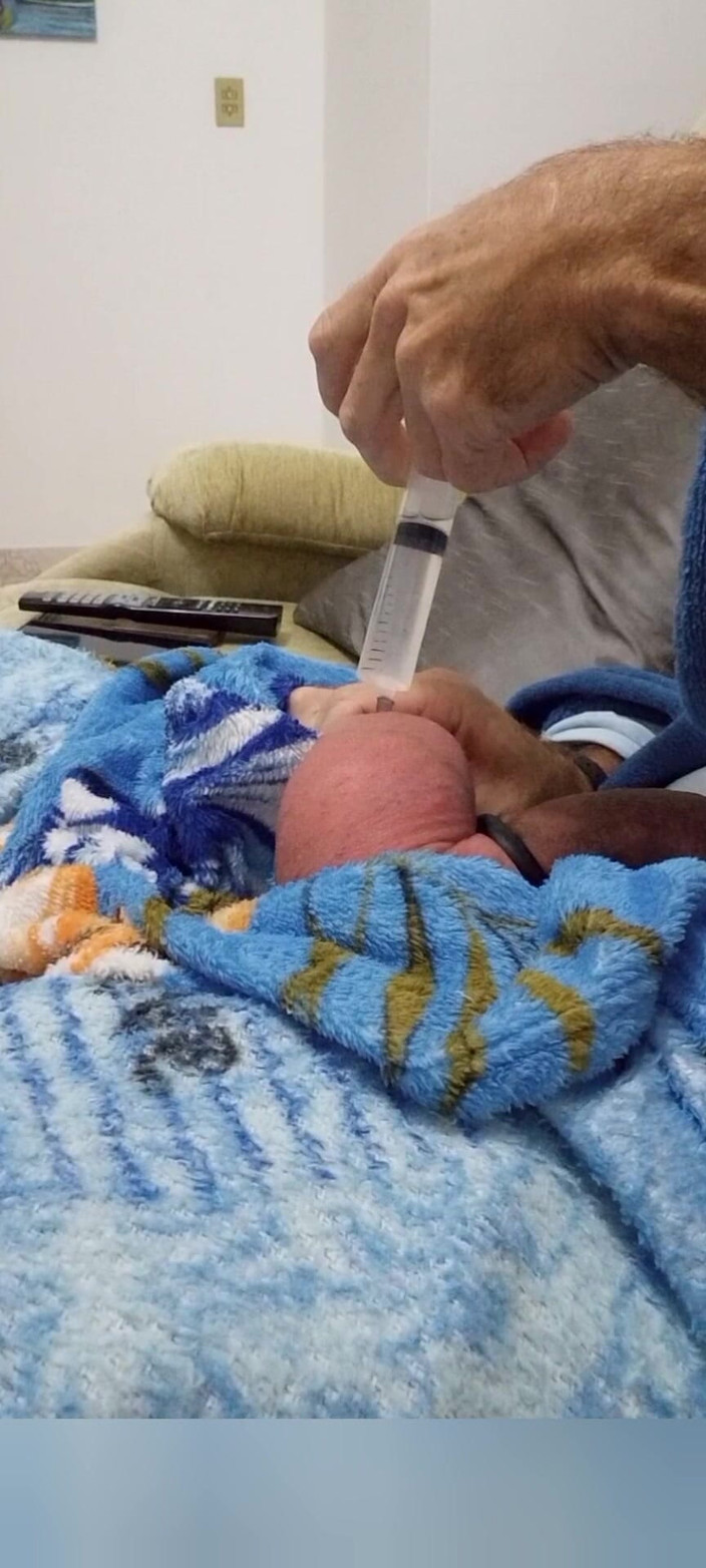 Lion big balls: Wstrzyknięcie soli fizjologicznej o pojemności 60 cm3 w każdym jajku