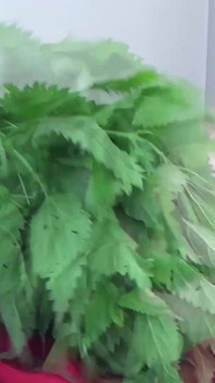 Sound Spanking with Stinging Nettles