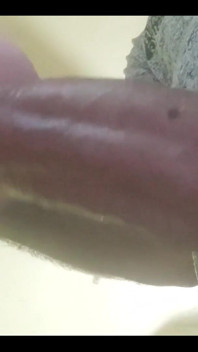 My Cock in a Vacuum
