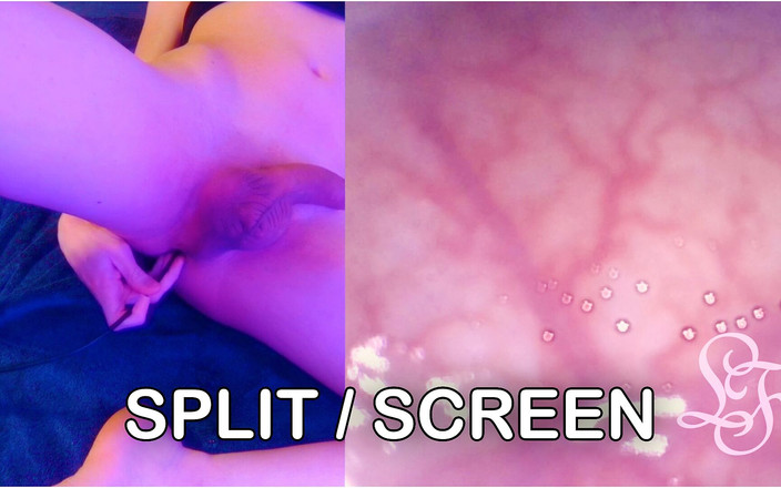 Lina Free: 有史以来最深的探索！