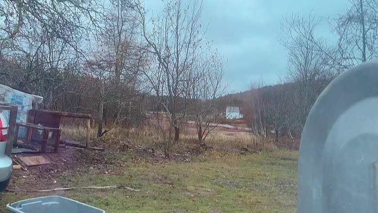 sweethanajapanese: Moring'de küçük amcık kıllı işiyor