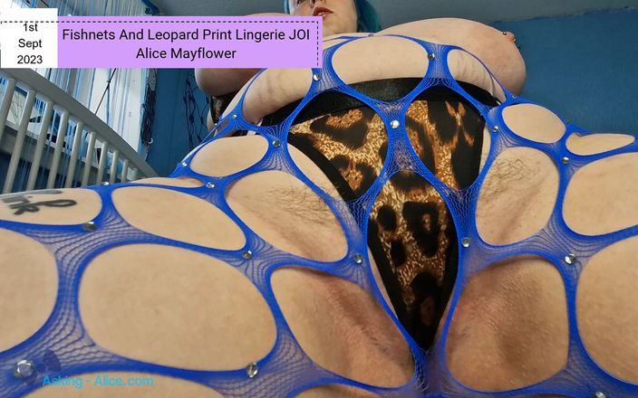 Alice Mayflower Productions: Fishnets and Leopard Print Lingerie JOI - Solo Girl