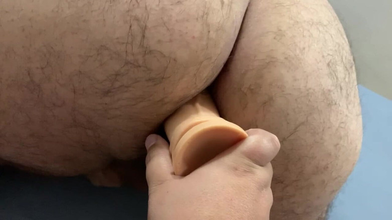 Ksanchez1203: 곰의 엉덩이를 가지고 노는 중