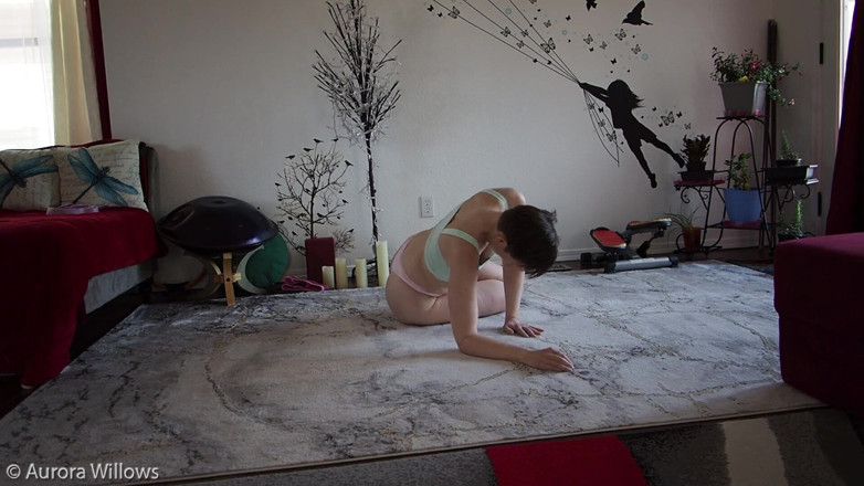 Aurora Willows: Behind the scenes daily motivation day 66