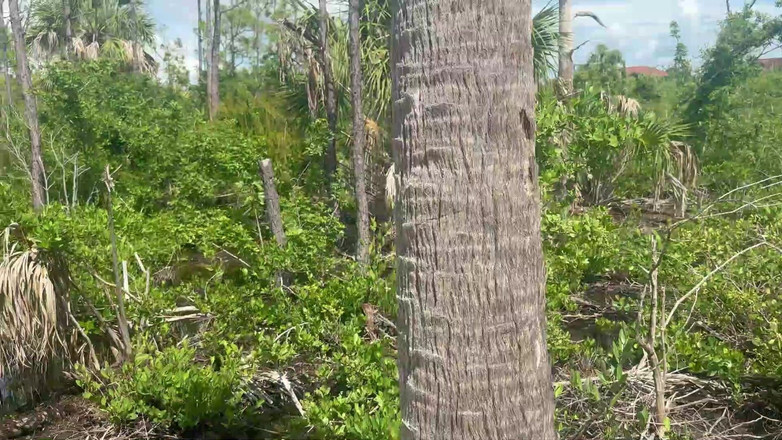 Miss Ellie Roleplay: Primo appuntamento