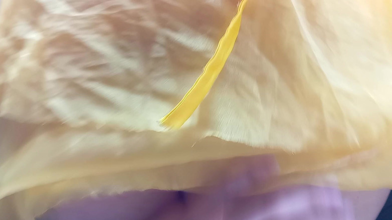 Crystal Foxxx: Jezdím na vrcholu svého nevlastního bratra