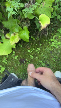 Golden Stream: Peeing in Paradise