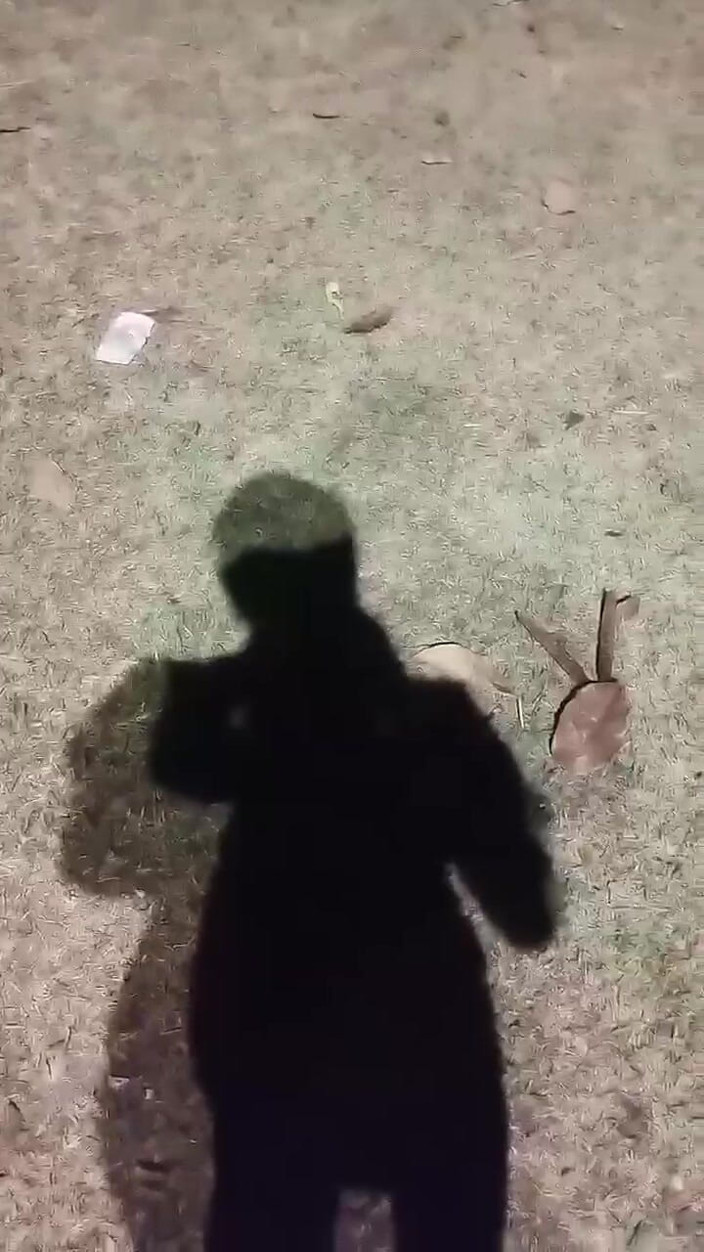 Vida Noite: El sexo al aire libre, de todas las sexuales, ahora...