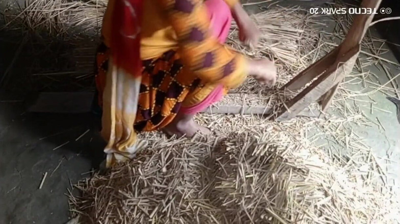Real Time Enjoy: Secret Moments in the Village Barn