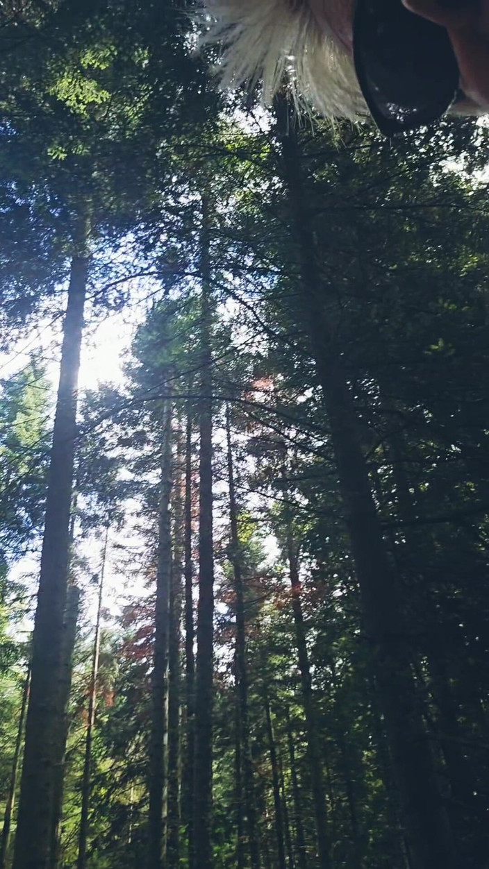 Sofy13: छुट्टी का चौथा दिन मैं अजनबी की तलाश में जंगल में चलती हूं