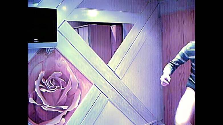 Mark Hannes: Masturbace dojícího spermatu pro sperma banku