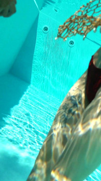 Unterwasser-fick im pool