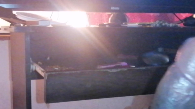 Tina Baby: Právě jsem přišel na Srí Lanku navštívit své perverzní, měli...