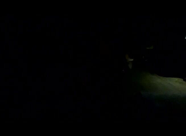 Shawna Panofka: Мой первый анальный кримпай