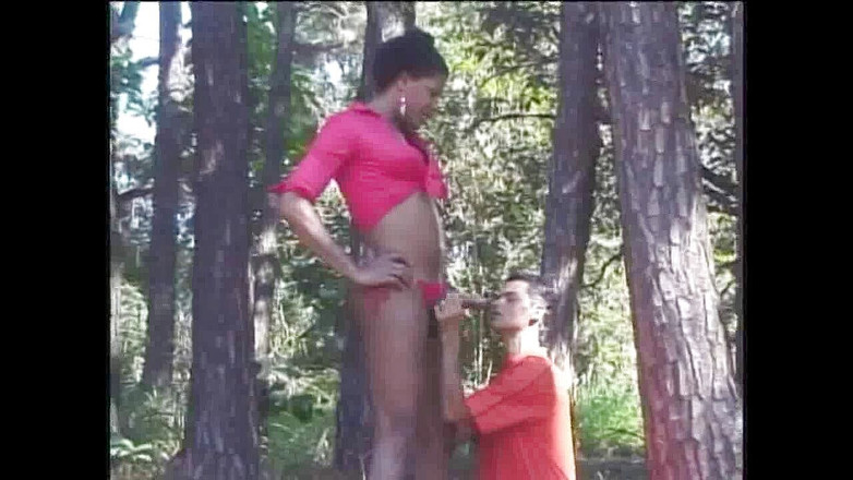 Shemale videos: クーガー黒檀女装fuckignラテン系イケメンに森