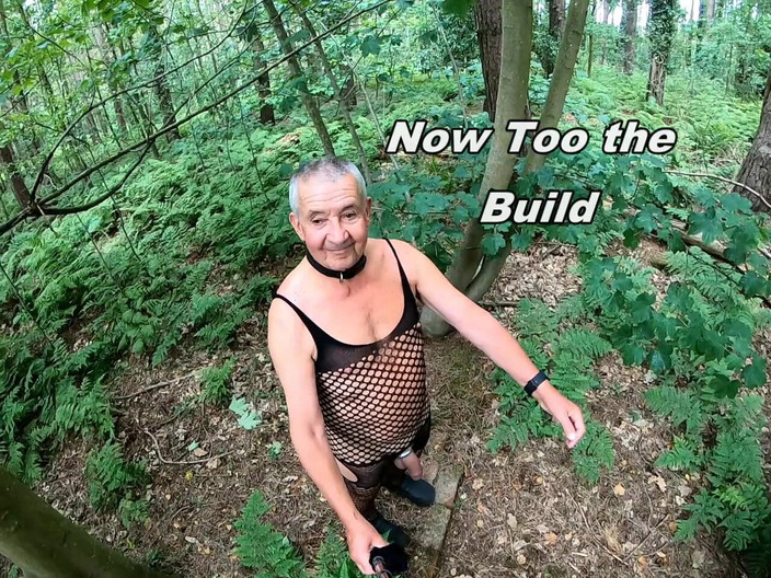 Andy: 步行 31 2025