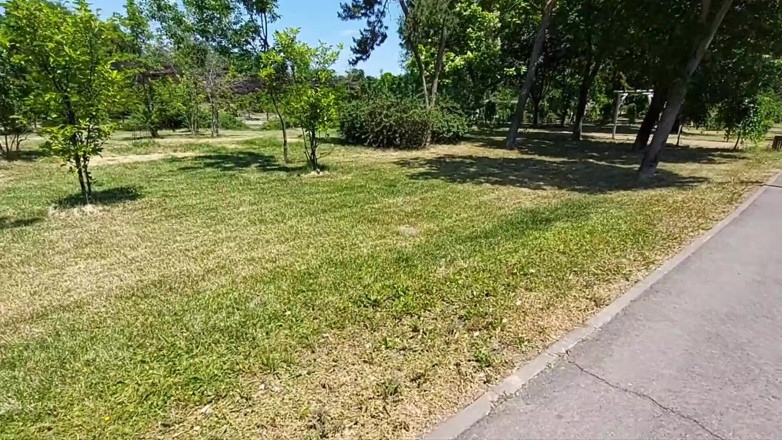 Step Mommy: I Caught a Sexy MILF in the Park for a...