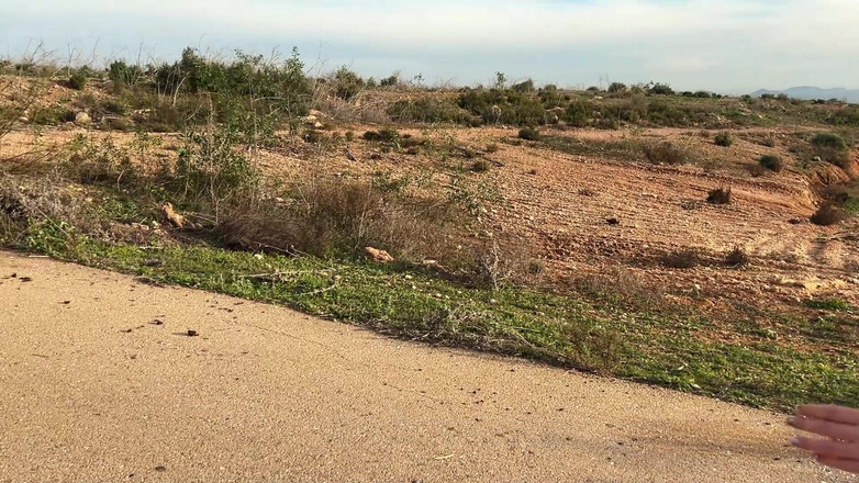 Andrew Oster: 街でニンフォマニアに会ったんだ