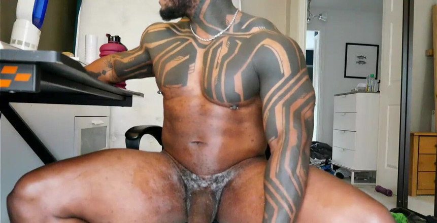 Amadeus: ライブストリームカミング