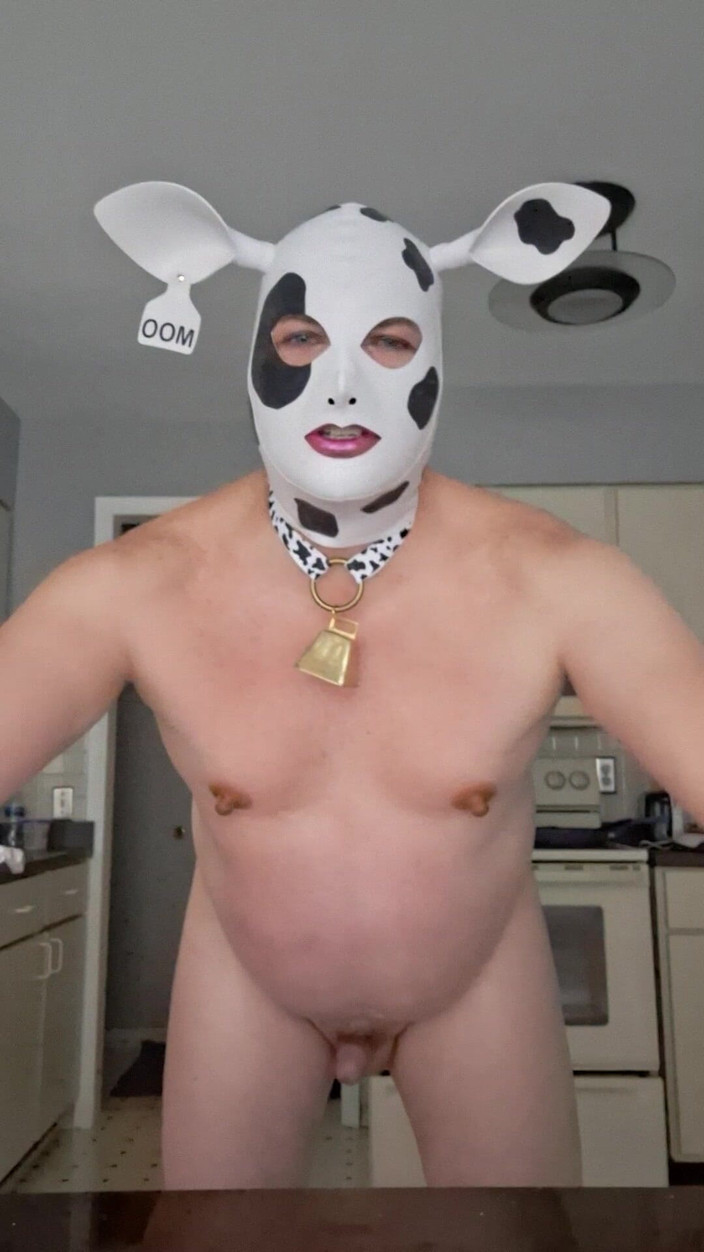 Victoria Lecherri: Hucow Intro Sabtu!