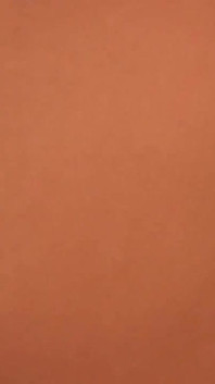 Rosebud Prolapse Popping Out Sloppy Wet After Anal Stretch