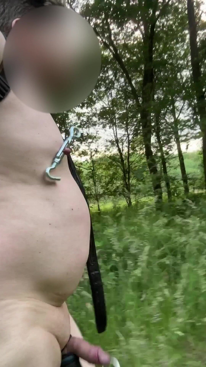 No limit cbt slave: Nackt im park gehen .. mit Nippelklemmen und Ballstretcher