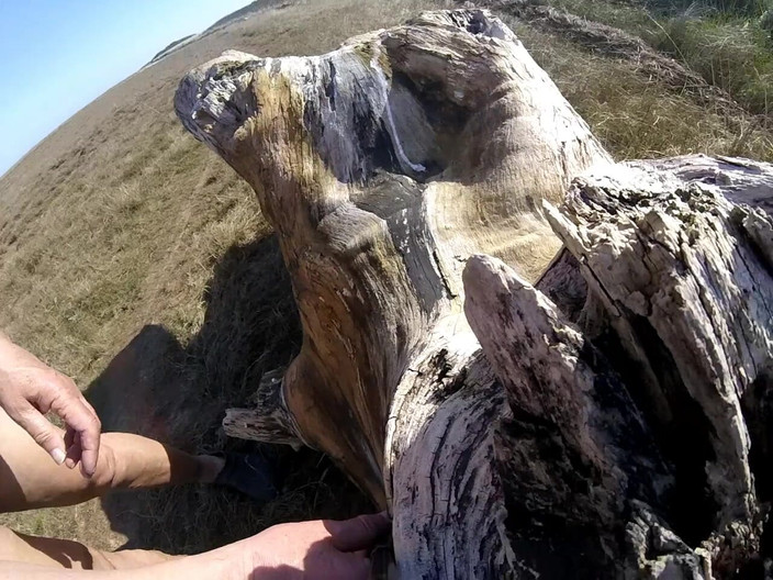 Andy: Procházka v listopadu