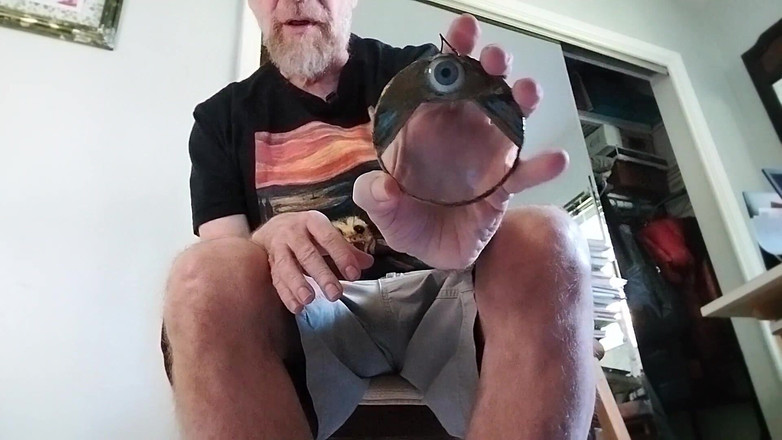 Hairyartist: Menyusutkan big brother