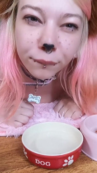 Cute Pet Girl Drink From Her Bowl