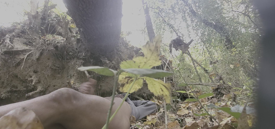 Dreamyasswonder: Eerste keer spelen in het park