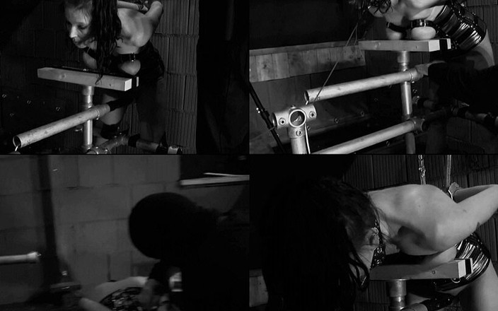 Deutsche Dominanz: Disciplína