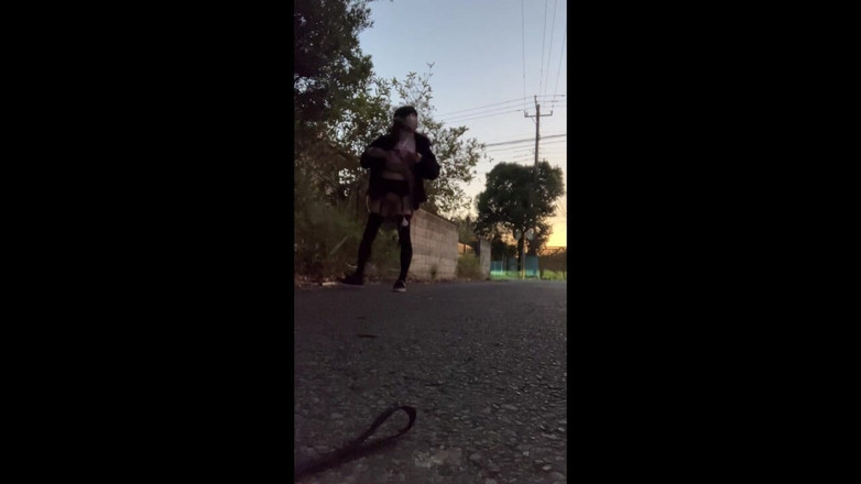 megu2002: स्वतंत्र प्रशिक्षण No22 शाम के समय सड़क के साथ एक्सपोजर वॉक