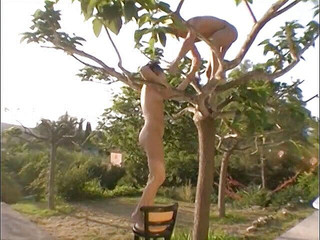 Java Consulting: Nympho brunette riding next to a pool