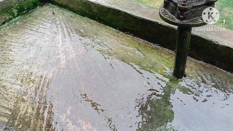 Nenika: Indiana fodeu sua buceta com um rolo