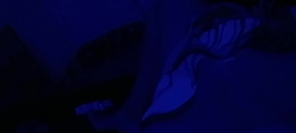 Blue rose: Clouds in Pussy