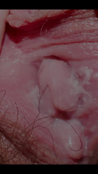 An Extreme Close-up of the Creamiest Pussy