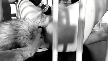 Bdsmlovers91: Kitty-ku suka banget muncrat dan muncrat - perbudakan memek dan pantatnya...