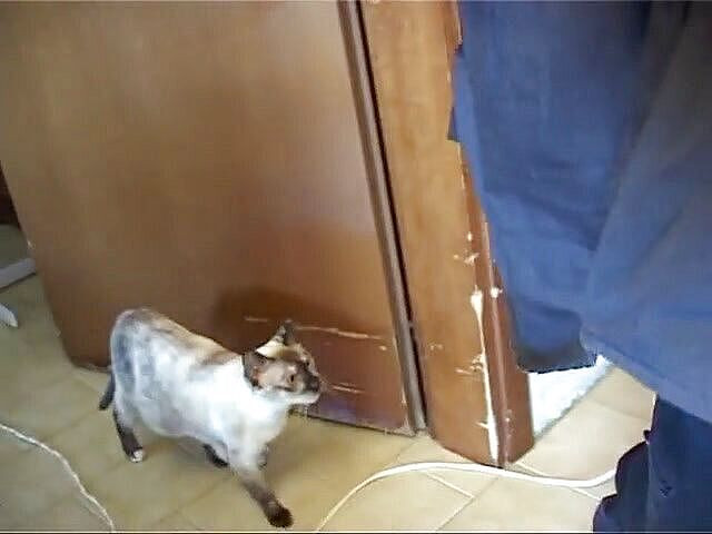 Milf in Love: Wanita jelek amatir nyepong beberapa kontol