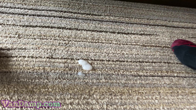 Pervy POV: Creampie per una ragazza bianca magra