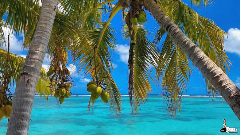 Dukes Hardcore Honeys: L'a erezione di Erezione: la signora Keagan in vacanza ep 2