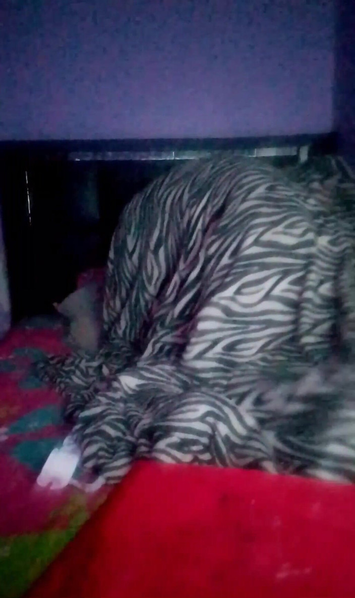 Elpaquik01: Wie frech ich bin