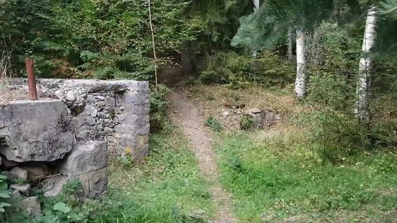 Tiny Teena: Forest BJ and Fuck