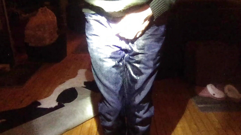 Norsken77's studio: पैंट मूतना संकलन