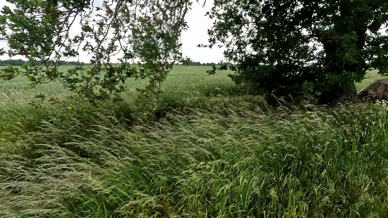 Bouncy Tits Action: Trainig for Titslapping World Record No.1 - Part 1